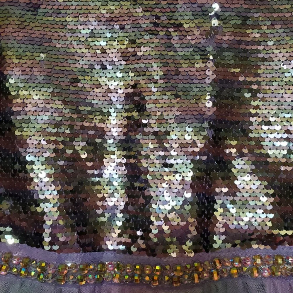 love, jayne 12 dress Sequins, Ruffles Rhinestone Multicolor New w/o Tag - Picture 2 of 6